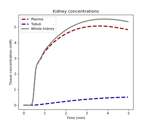 ../../_images/dcmri-conc_kidney-1_00_00.png