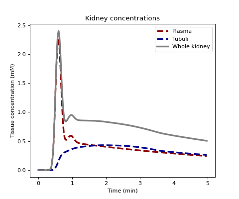 ../../_images/dcmri-conc_kidney-1_01_00.png