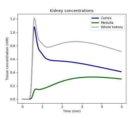 ../../_images/dcmri-conc_kidney_cortex_medulla-1.png