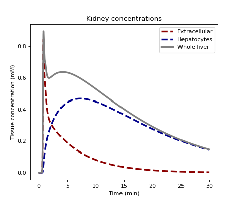 ../../_images/dcmri-conc_liver-1.png