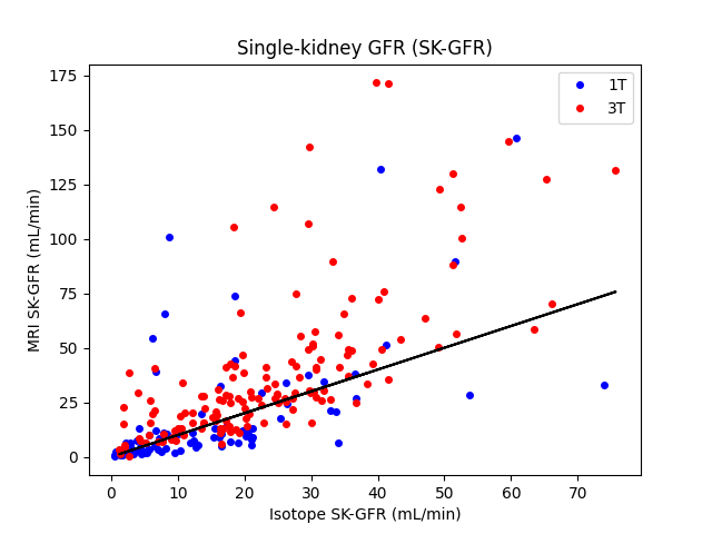 Single-kidney GFR (SK-GFR)