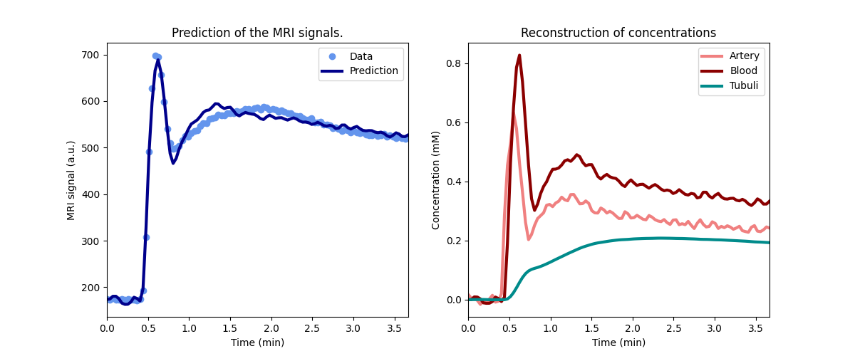 Prediction of the MRI signals., Reconstruction of concentrations