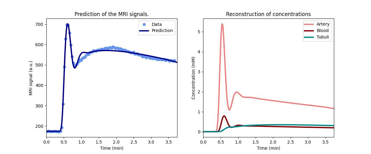 Prediction of the MRI signals., Reconstruction of concentrations