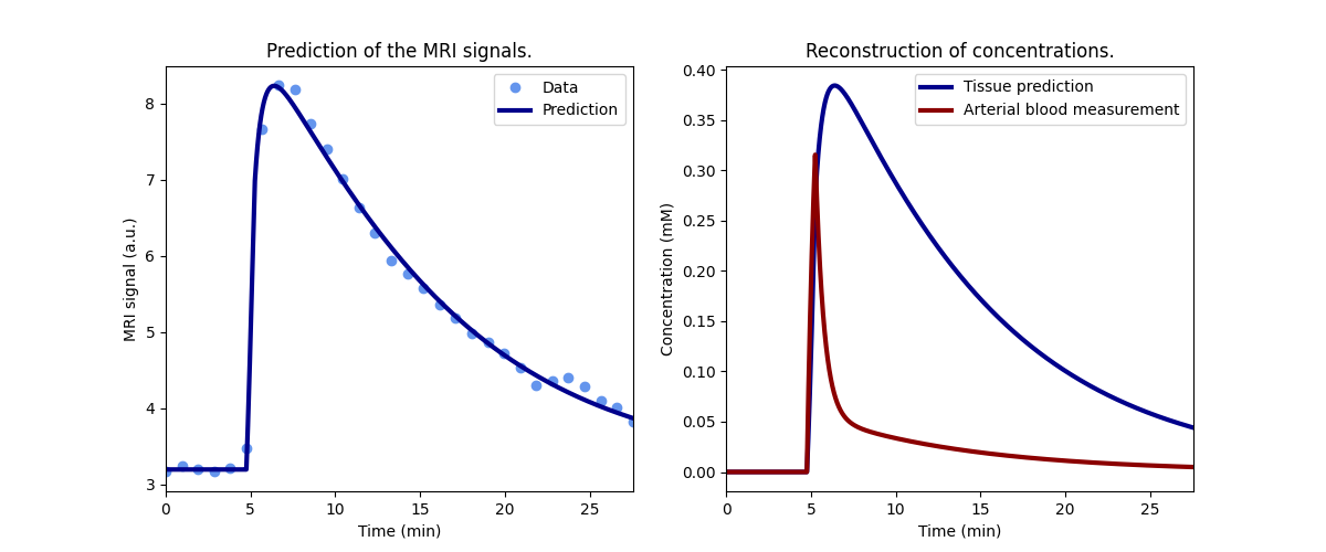 Prediction of the MRI signals., Reconstruction of concentrations.