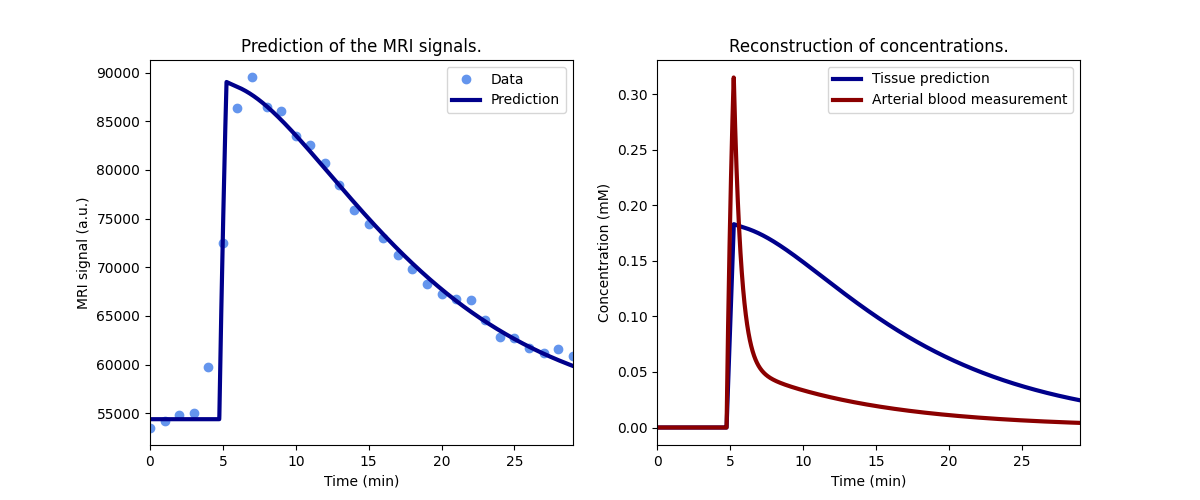 Prediction of the MRI signals., Reconstruction of concentrations.