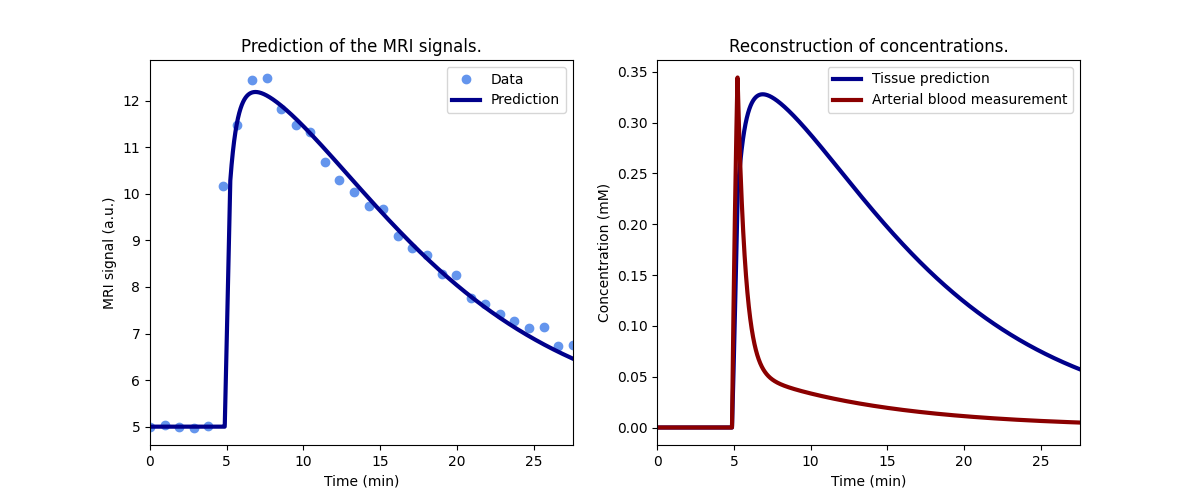 Prediction of the MRI signals., Reconstruction of concentrations.