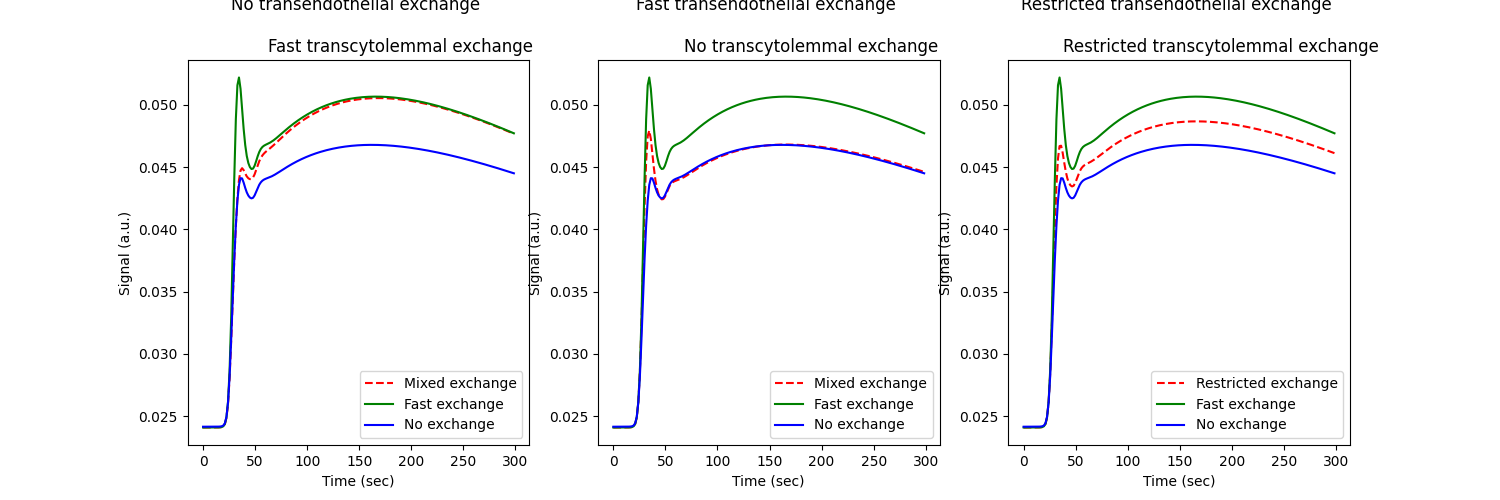 No transendothelial exchange                    Fast transcytolemmal exchange, Fast transendothelial exchange                    No transcytolemmal exchange, Restricted transendothelial exchange                    Restricted transcytolemmal exchange